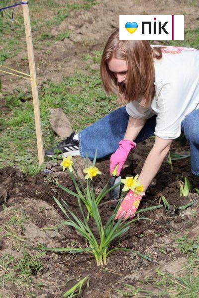 Розібрали будівельний паркан та висадили дерева: франківці зібралися на "пікнік" проти забудови (ФОТО) 3 IMG 9826 2 scaled