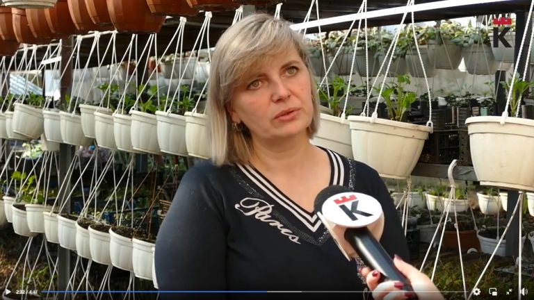 У Калуші будуть бузкова алея і експериментальний газон 9 photo1709903335