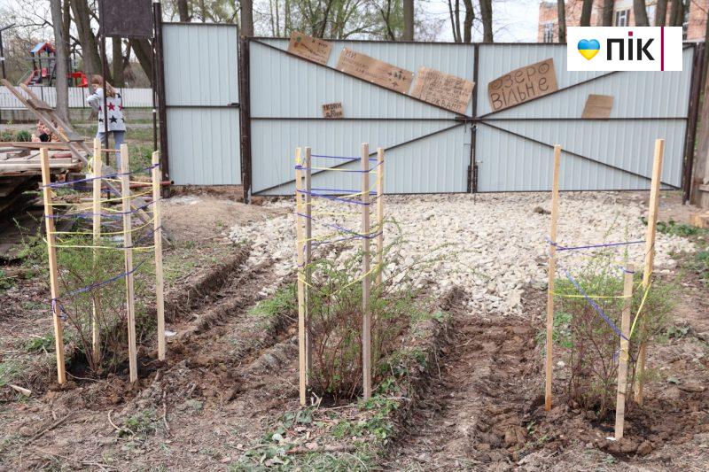 Розібрали будівельний паркан та висадили дерева: франківці зібралися на "пікнік" проти забудови (ФОТО) 16 photo1711897493 1 scaled