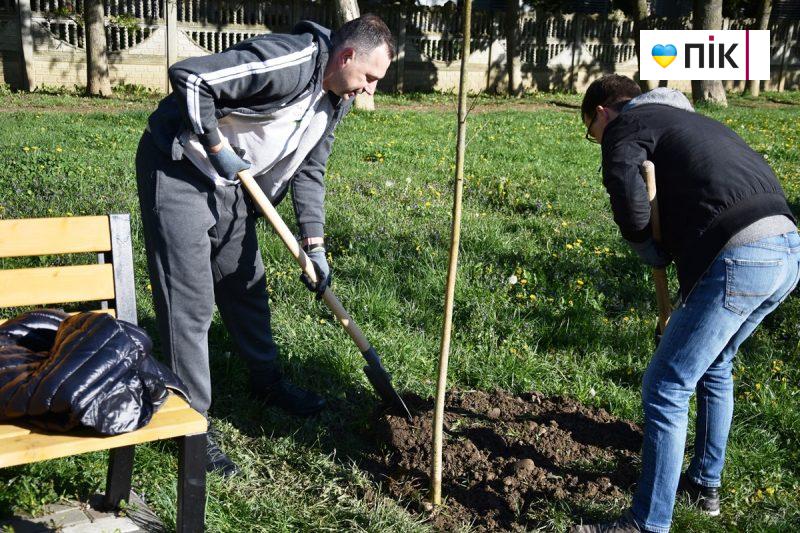 Велика толока: мер Франківська разом із дружиною посадили ясені на алеї "Позитрону" (ФОТО) 5 DSC 0187 scaled