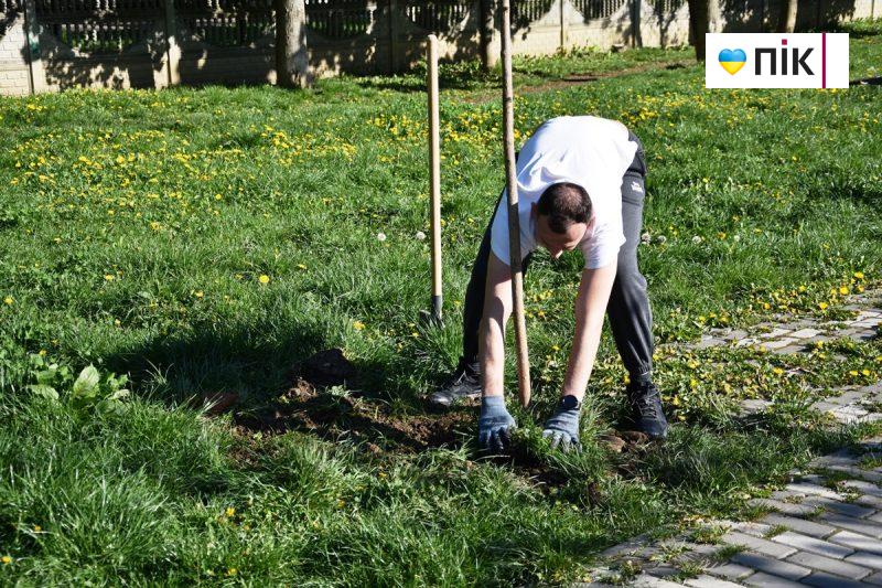 Велика толока: мер Франківська разом із дружиною посадили ясені на алеї "Позитрону" (ФОТО) 9 DSC 0204 scaled