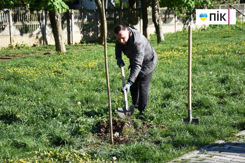 Велика толока: мер Франківська разом із дружиною посадили ясені на алеї "Позитрону" (ФОТО) 10 DSC 0209 scaled