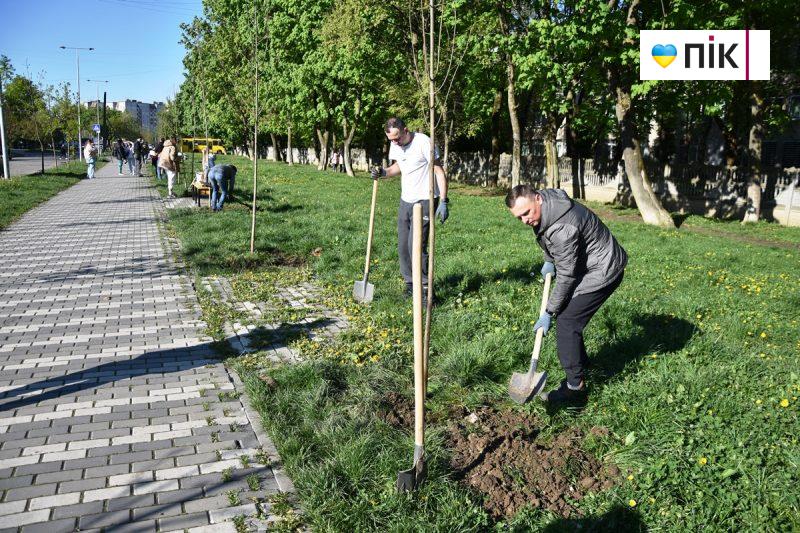 Велика толока: мер Франківська разом із дружиною посадили ясені на алеї "Позитрону" (ФОТО) 11 DSC 0213 scaled