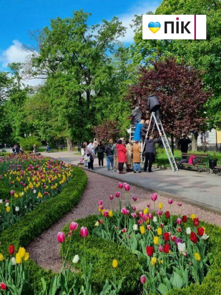Франкове місто писанкове: сквер Міцкевича набув нових барв перед Великоднем (ФОТО) 4 photo 5 2024 04 25 12 29 53 1 scaled