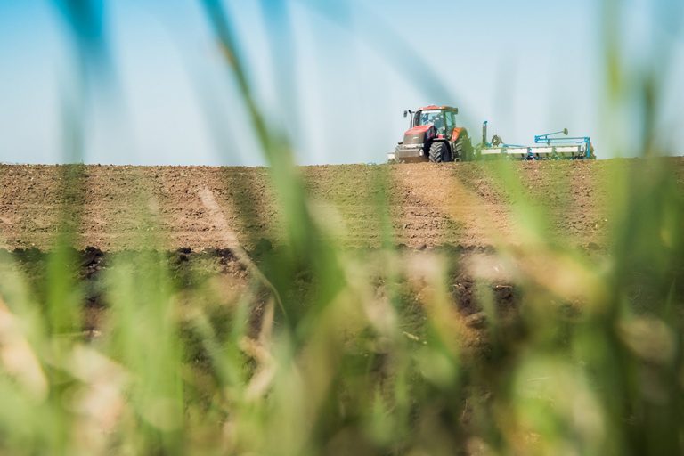 На Прикарпатті стартувала весняна посівна кампанія: яку площу вже засіяли 12 posevnaya latifundist com 7 134406