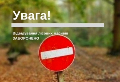 На Франківщині заборонили в'їзд машин в ліси області: причина