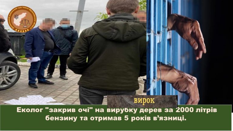 На Долинщині судили еколога, який за 2000 літрів бензину "закрив очі" на вирубку дерев