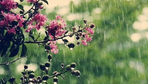 Короткочасний дощ: якою буде погода на Франківщині 22 травня