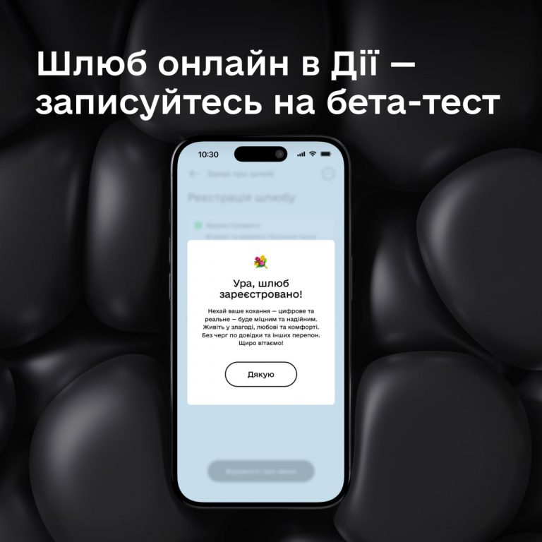 У "Дії" запустили бета-тест послуги "шлюб онлайн" 8 photo1716993005