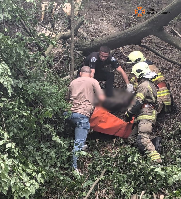 У Косівському районі на чоловіка впало дерево: він помер (ФОТО)