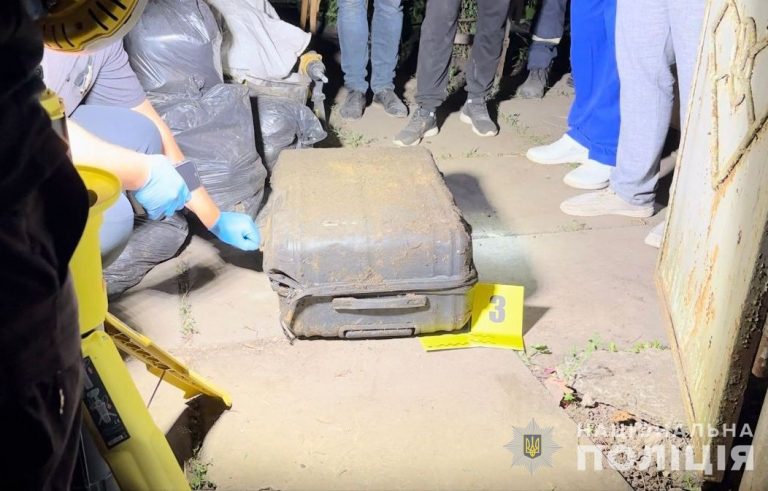 У Кривому Розі мати вбила 10-річну доньку і залила тіло бетоном у погребі (ФОТО) 5 66785f61f3ed9524525297