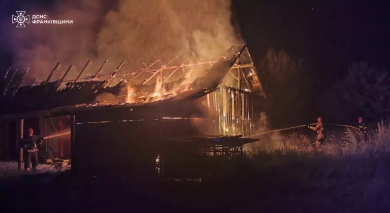 Вогнеборці ліквідували дві пожежі на Прикарпатті: що горіло? (ФОТО) 7 orig 68958211