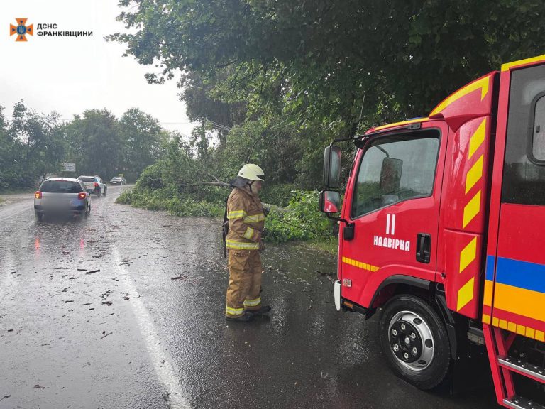 Наслідки негоди на Прикарпатті: буревій повалив 18 дерев, у п'яти громадах - знеструмлення (ФОТО) 10 photo 2024 06 22 18 51 44