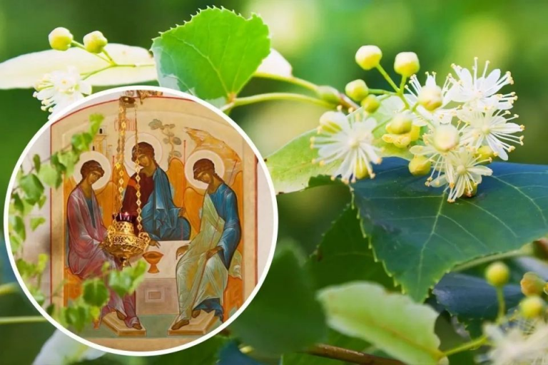 24 червня в Україні відзначають День Святого Духа й Івана Купала: що варто знати 9 24 червня в Україні відзначають День Святого Духа й Івана Купала: що варто знати