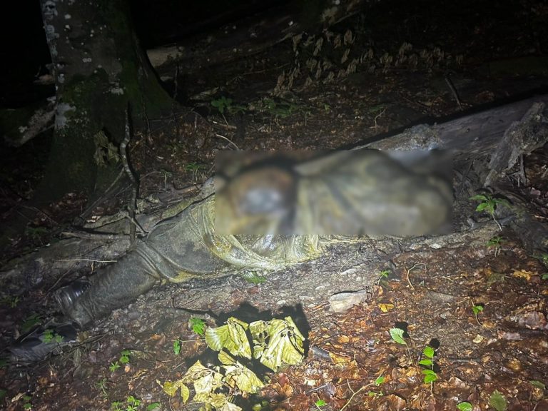 У Карпатах виявили тіло молодого чоловіка (ФОТО, ВІДЕО) 3 451072644 816919023951862 297892975928698227 n