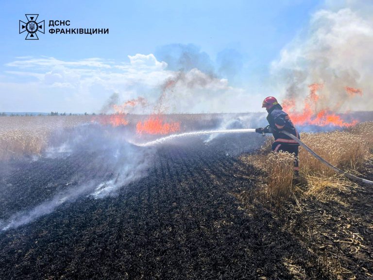 На Івано-Франківщині загорілося поле пшениці (ФОТО) 4 451429802 791856846437014 7488056315509230510 n