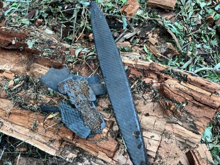 У НАТО відреагували на уламки російських "шахедів" у Румунії 6 photo 2024 07 25 13 39 22