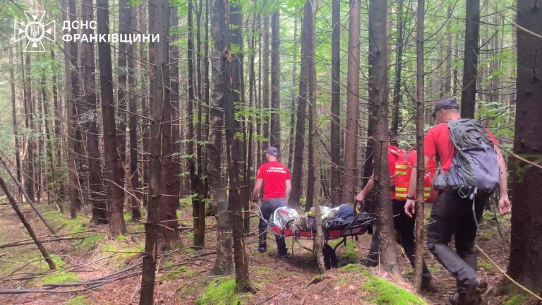 Рятувальники допомогли туристу, який травмував ногу в горах 4 photo 5258405924979202667 w