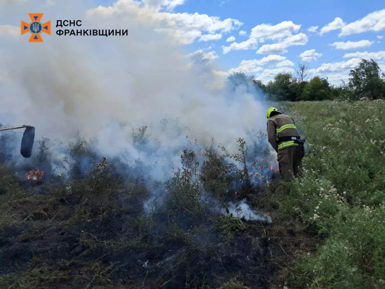 На Прикарпатті за добу ліквідували 10 пожеж сухої трави (ФОТО) 8 photo 5280864940330182138 w