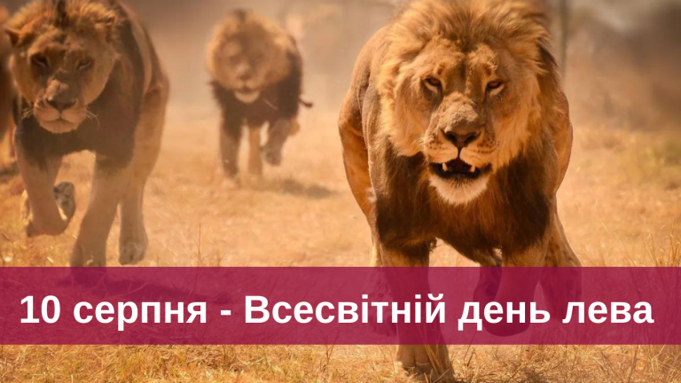 Десяте серпня: яке свято, подія, чи іменини 9 1 20240810 075836 0000
