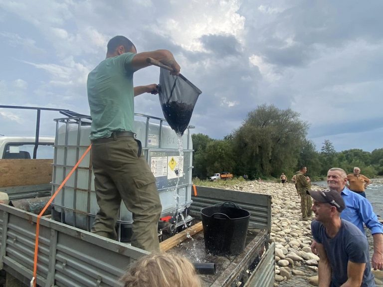 У річку Бистриця Надвірнянська запустили форель струмкову (ФОТО) 6 455820551 943884507564079 2371813460915544790 n
