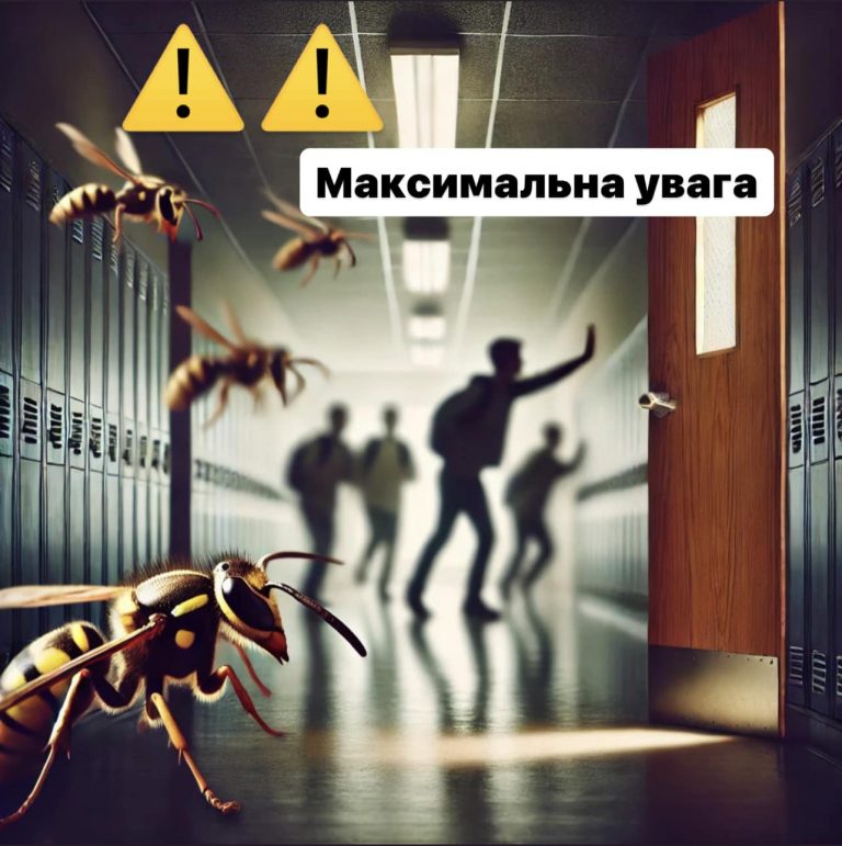 У Косові учениці 8-го класу закрили свого однокласника у туалеті: його покусали оси 10 У Косові учениці 8-го класу закрили свого однокласника у туалеті: його покусали оси