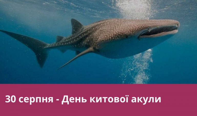30 серпня 2024 року: яке свято, події, іменини