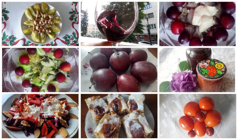 Рецепт на вихідні: Делікатеси зі слив (ФОТО) 2 MyCollages 82