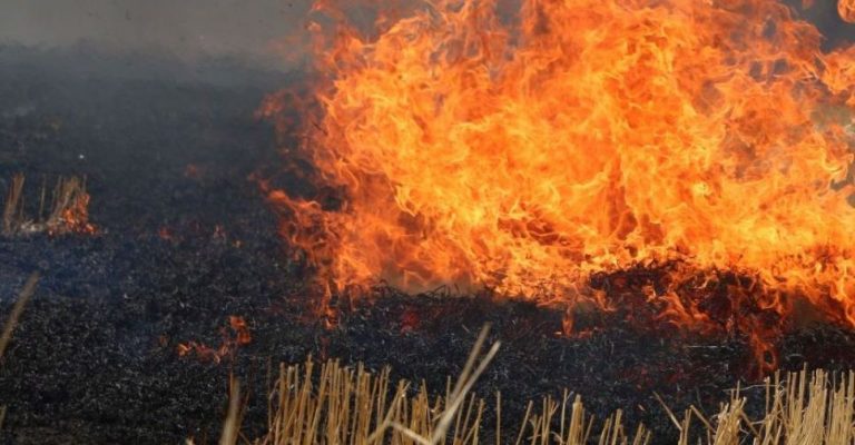 В Україні вдвічі збільшилася кількість пожеж в екосистемах: загинули 11 людей 1 zmbbq9mpco8scbemiaphw9va86vmvvmv