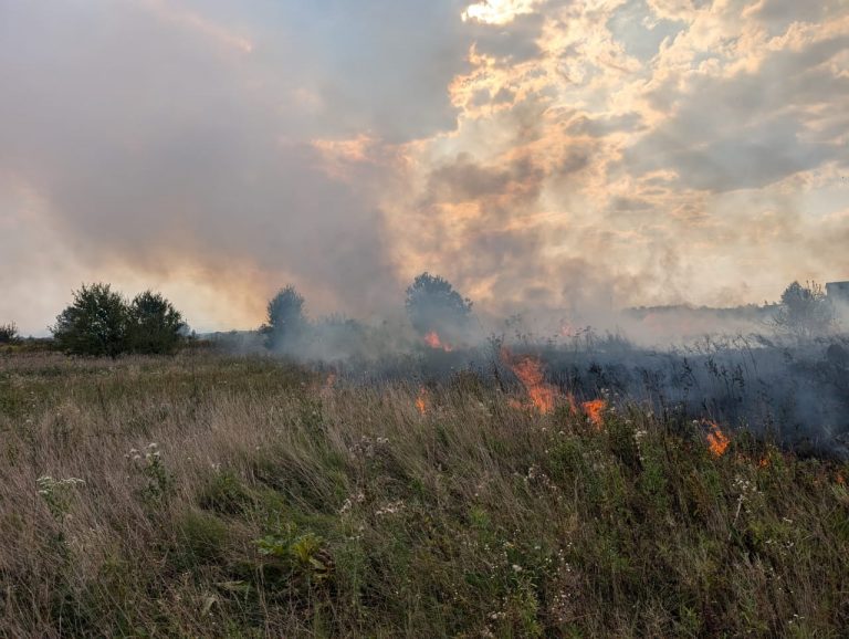На Богородчанщині рятувальники понад дві години засили займання сухої трави (ФОТО)