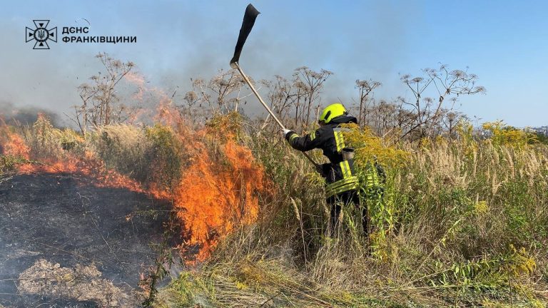 Гасили три години: у Франківському районі горіли 4,5 гектари сухої трави (ФОТО, ВІДЕО) 10 458546578 823443156611716 7399712218761327634 n