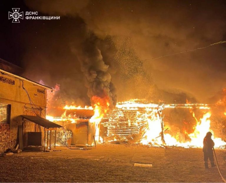 Масштабна пожежа у Коломиї: горів склад (ФОТО) 6 5395680209405076837