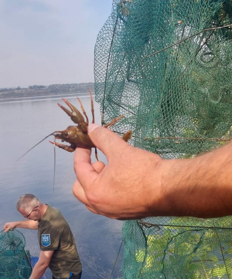 На Бурштинському водосховищі вилучили браконьєрські раколовки (ФОТО) 1 FB IMG 1726721526051