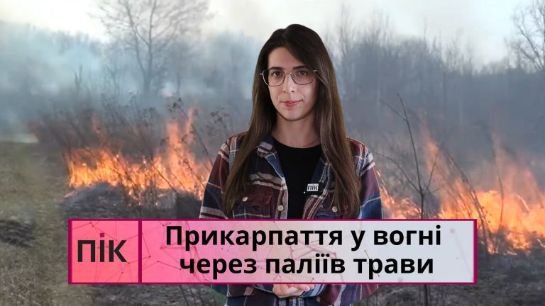 Прикарпаття у вогні через паліїв трави: чим це небезпечно та яка альтернатива 10 Obkladynka 14