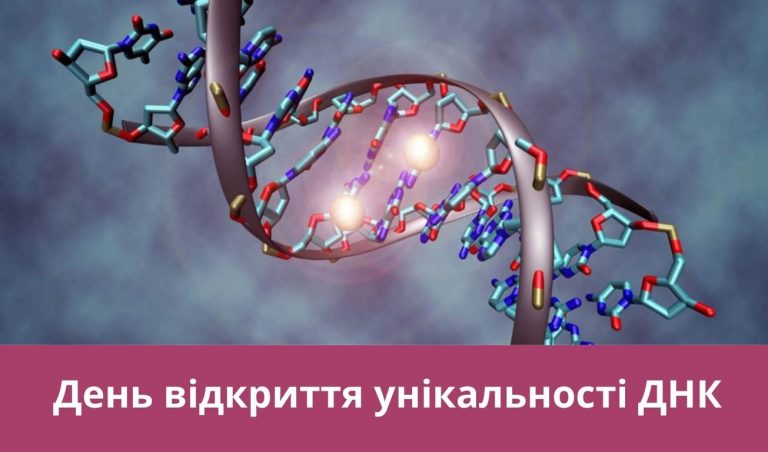 Третє вересня 2024 року: яке свято, події, іменини 6 Synyj y Fyoletovyj Povsednevnyj Korporatyvnyj Tehnologycheskyj Vnutrennye Kommunykatsyy Veb sajt 1