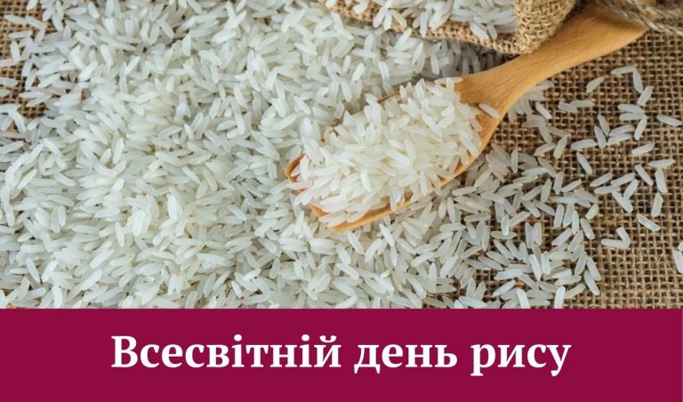 Synyj y Fyoletovyj Povsednevnyj Korporatyvnyj Tehnologycheskyj Vnutrennye Kommunykatsyy Veb sajt 8