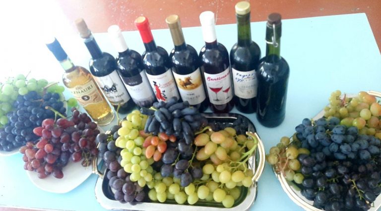 photo 2024 09 10 15 30 18