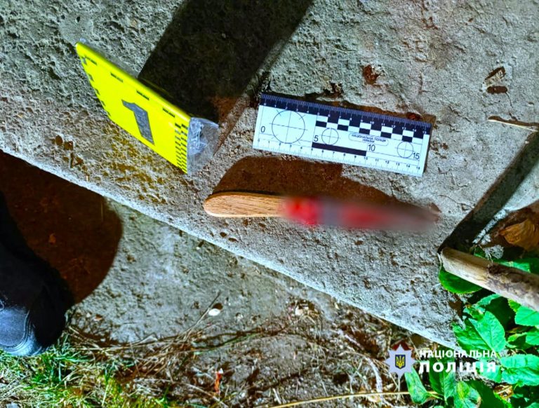 466787680 122121206648533378 759892675004235792 n