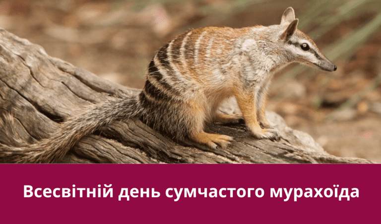 Друге листопада 2024 року: яке сьогодні свято, іменини, події 6 Synyj y Fyoletovyj Povsednevnyj Korporatyvnyj Tehnologycheskyj Vnutrennye Ko 20241102 080421 0000