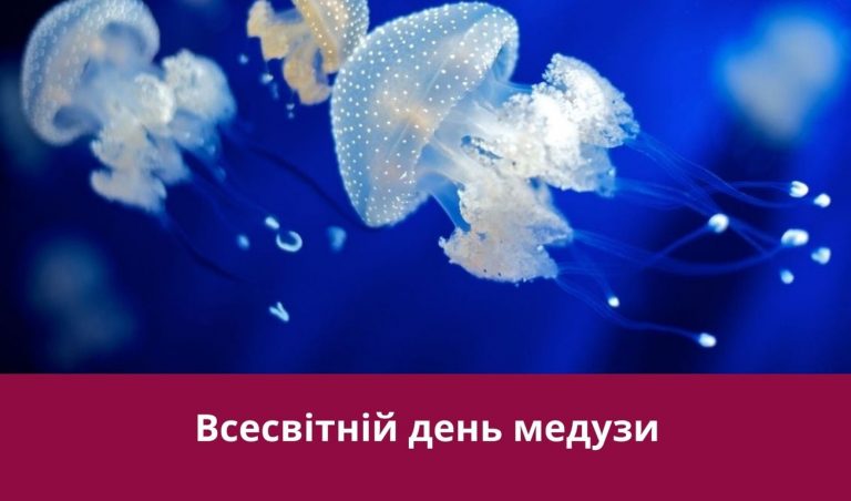 Третє листопада 2024 року: яке сьогодні свято, іменини, події 12 Synyj y Fyoletovyj Povsednevnyj Korporatyvnyj Tehnologycheskyj Vnutrennye Kommunykatsyy Veb sajt 18