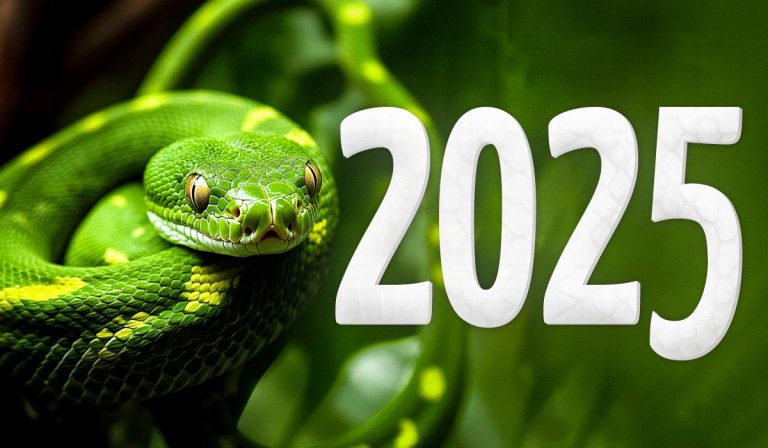 2025 рік за східним календарем: яка тварина стане символом нового року