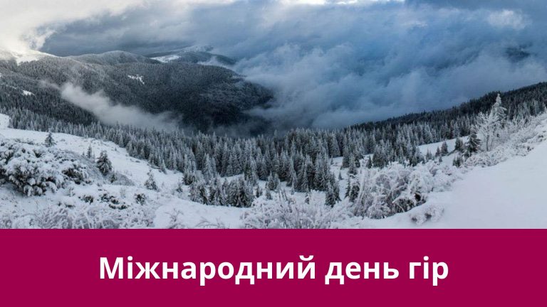 11 грудня 2024 року: яке сьогодні свято, події, іменини 11 Foto 4
