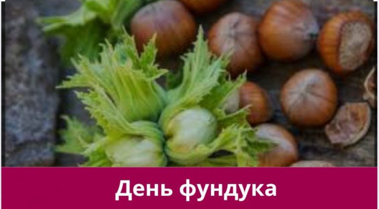 Четверте січня 2025 року: яке сьогодні свято, події, іменини 9 Четверте січня 2025 року: яке сьогодні свято, події, іменини