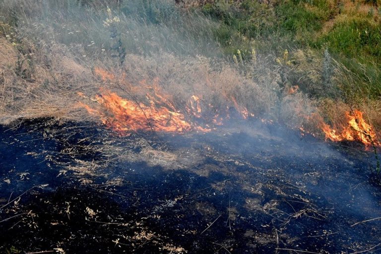 На Прикарпатті за добу ліквідували 55 пожеж у природних екосистемах 1 На Прикарпатті у середу 11 разів горіла суха трава на відкритій території