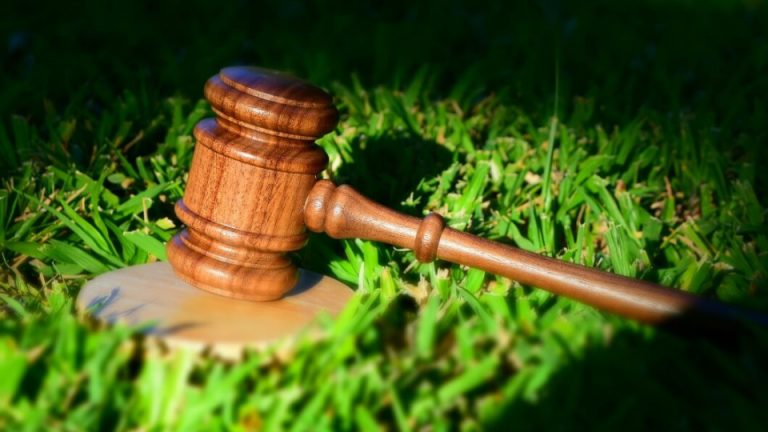 На Прикарпатті чоловік незаконно побудував приміщення на земельній ділянці охоронної зони 3 388a72001ee9bac2474b674b53c95c4ae1cd4311