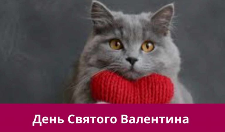 14 лютого 2025 року: яке сьогодні свято, події, іменини