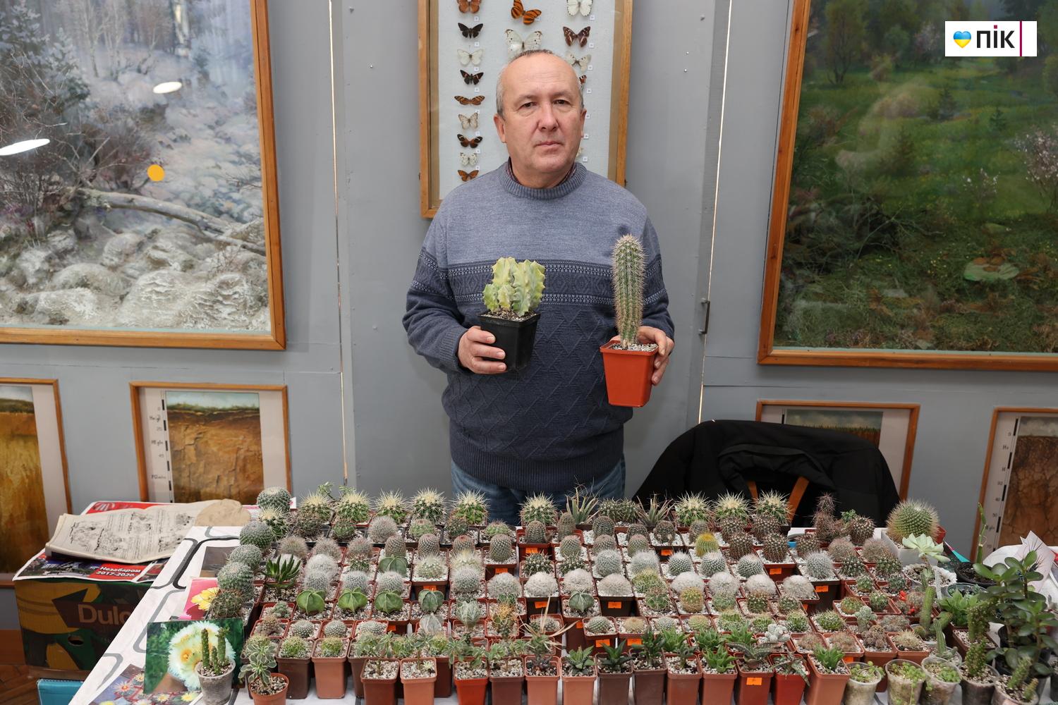 Люди Прикарпаття: на виставці фіалок та кактусів у Франківську (ФОТО) 13 IMG 8528 resize