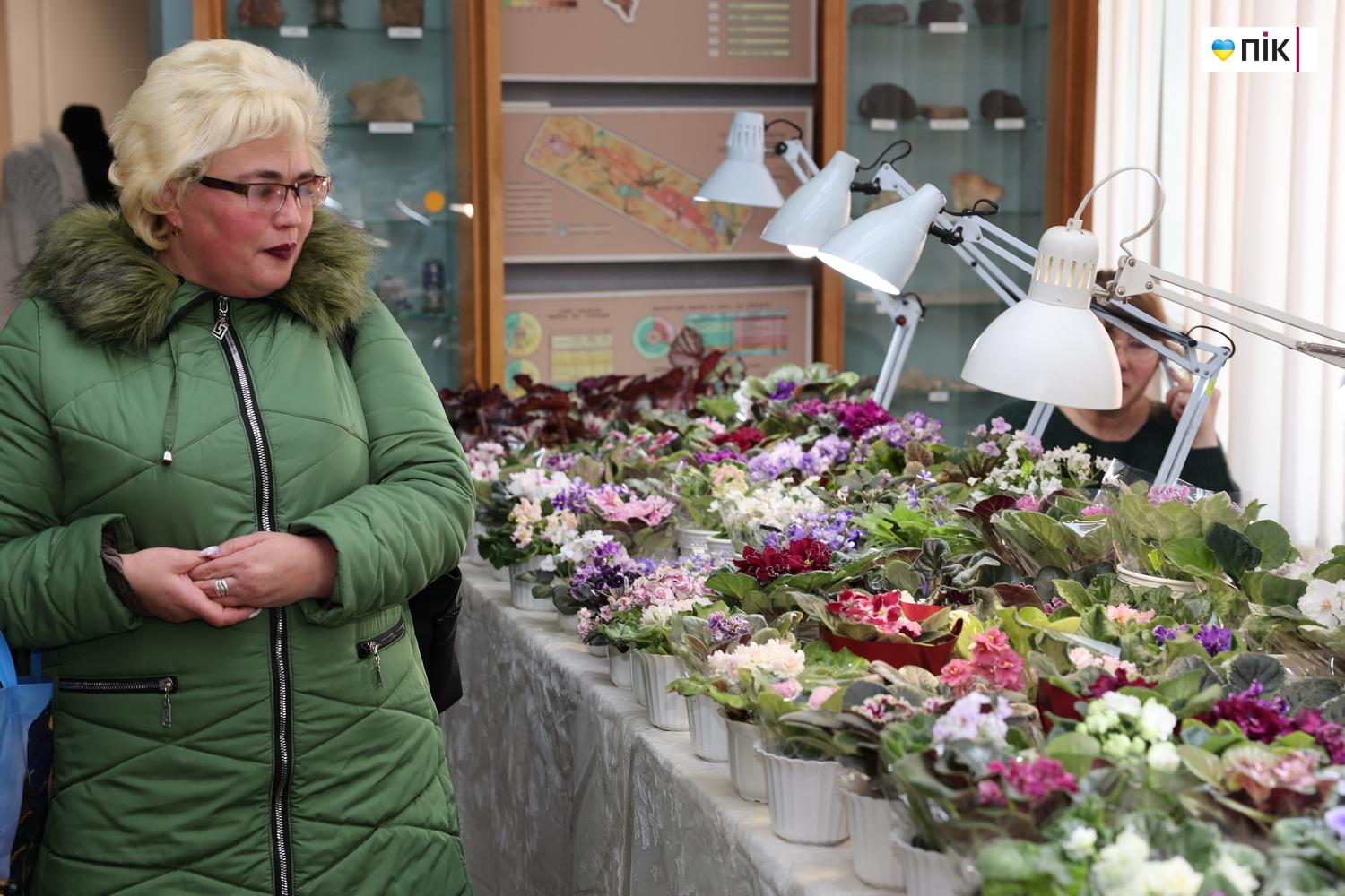 Люди Прикарпаття: на виставці фіалок та кактусів у Франківську (ФОТО) 15 IMG 8540 resize