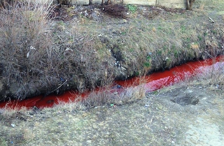 "Ця проблема давня": нові подробиці про "криваве" забруднення потічка у Вовчинці 4 481996300 9663146120376477 8569022375988596232 n 1