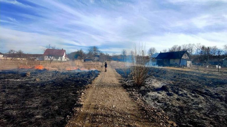 Палили траву на городі: на двох жителів Вістової склали адмінпротоколи (ФОТО) 3 Палили траву на городі: на двох жителів Вістової склали адмінпротоколи (ФОТО)
